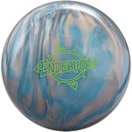 新品未使用（送料込） エンデバー BRUNSWICK 15ポンド